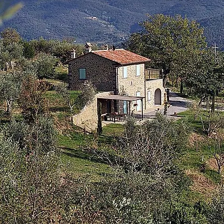Orizzonte コルトーナ